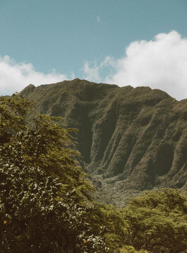 A mountain landscape, with its elevated perspective symbolizing structure.