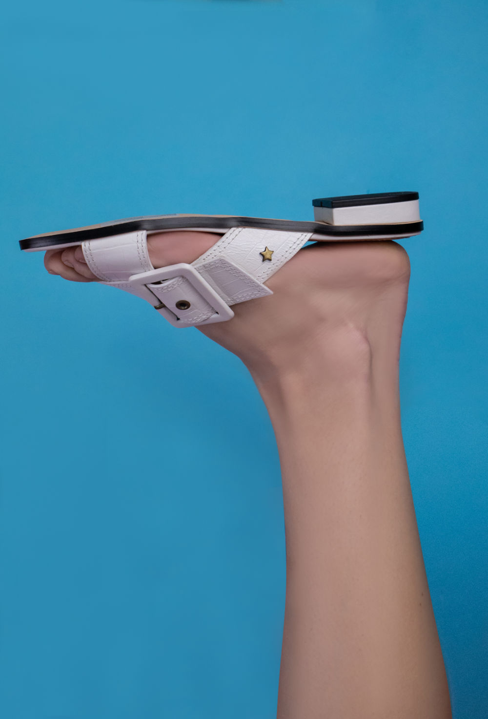 Direção Criativa: a nova identidade visual aplicada à fotografia de campanha.